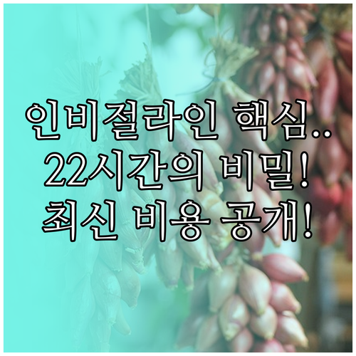 인비절라인 성공을 위한 22시간 착용..