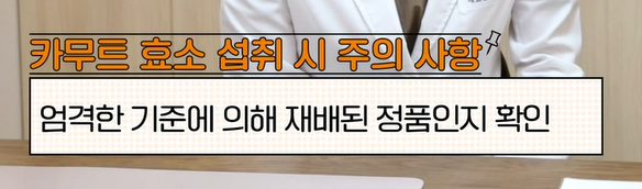 카무트 효소 먹는법