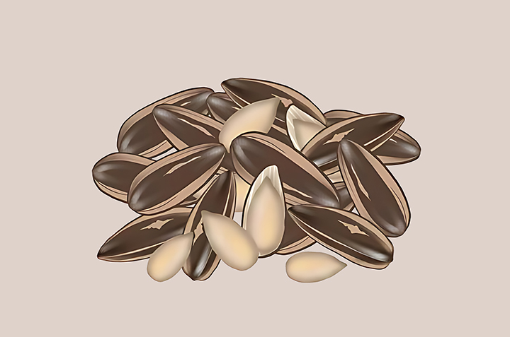 해바라기씨-하루-섭취-권장량