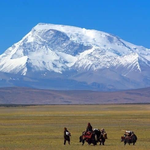 고고유전학으로 본 고대 한국인: 우리 민족의 뿌리를 찾아서