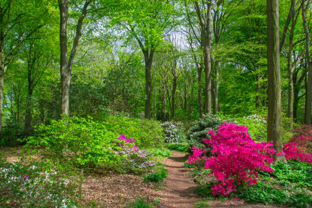 경기도 가평 아침고요수목원 여행기 들여다보기