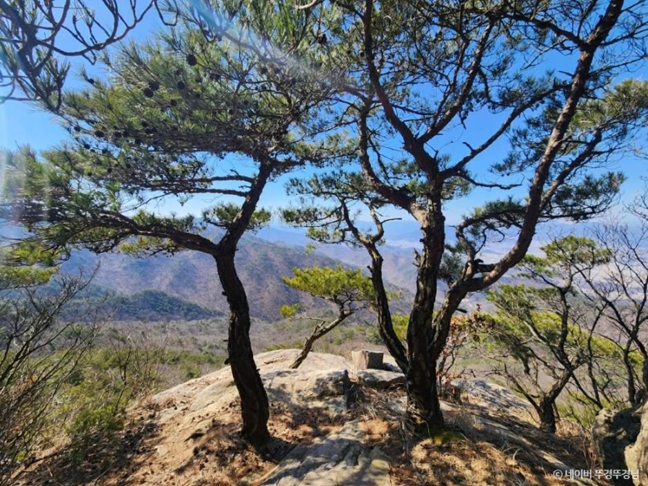 상주 가볼만한곳 베스트10