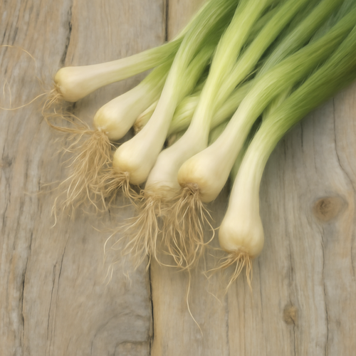 파뿌리차_만드는법