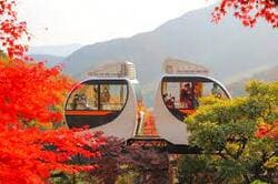 2024 화담숲 모노레일 예약방법 가을 단풍