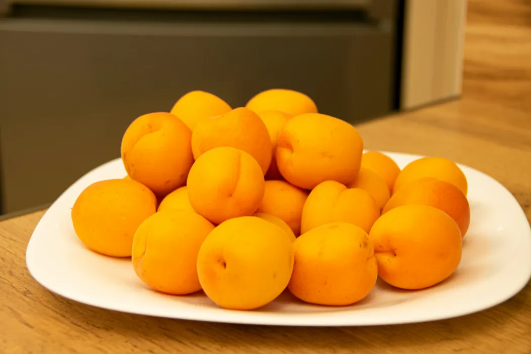 살구-효능과-부작용-관련-살구-사진