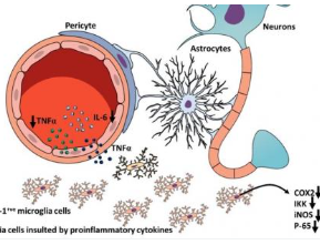 활성산소 줄이는 방법 알아보기