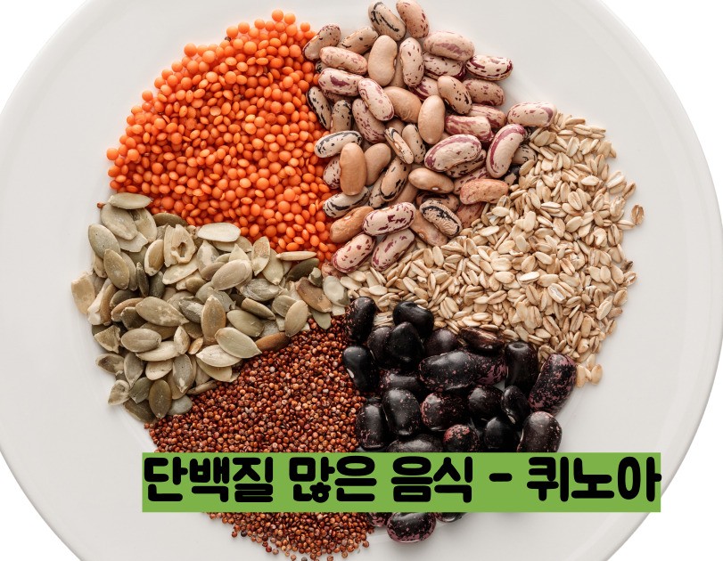 단백질 많은 음식