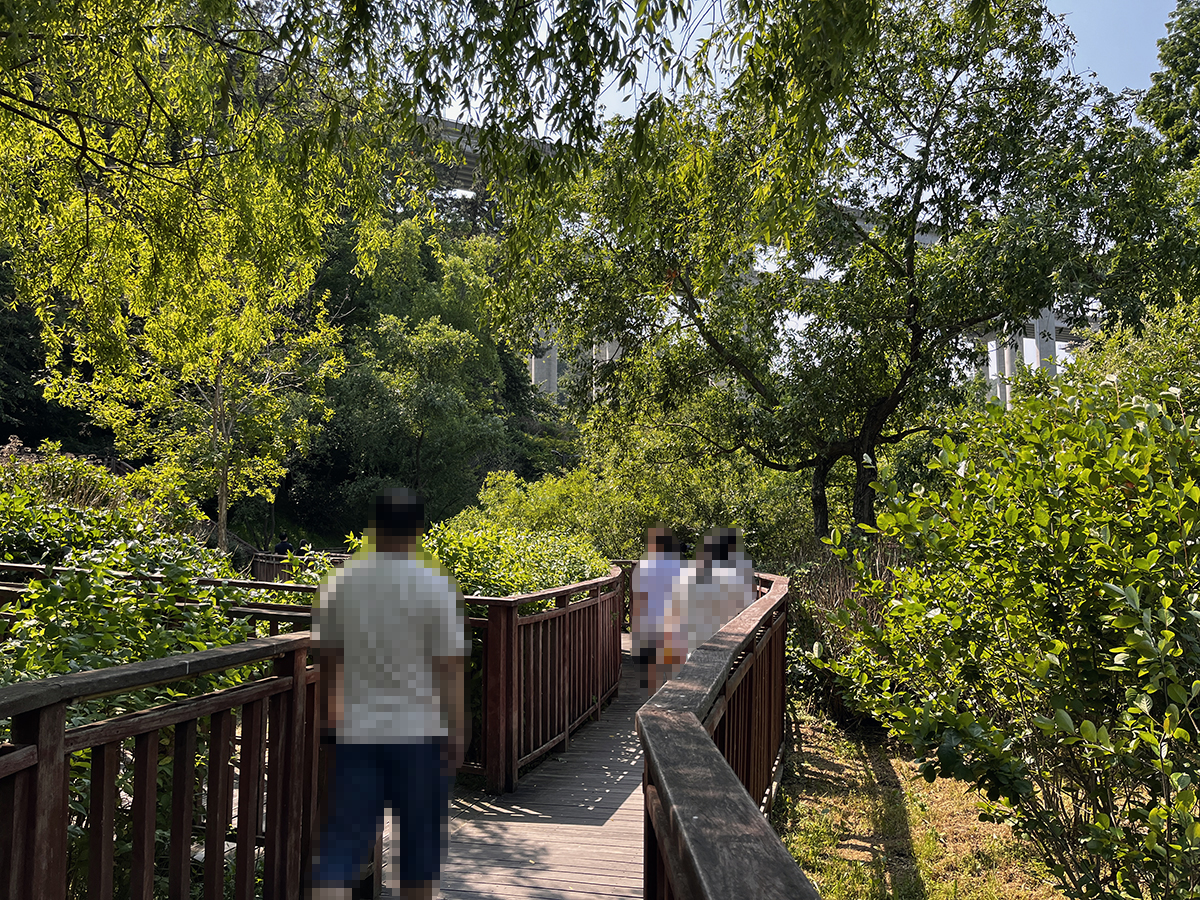출렁다리를 지나 광장 방향으로.