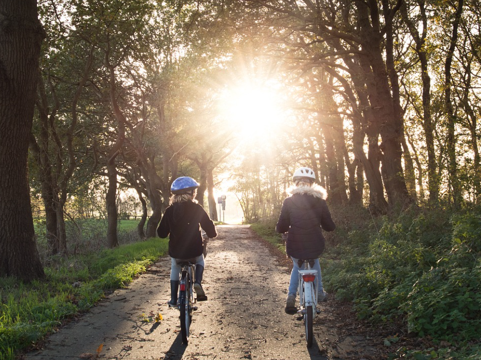 좋은 콜레스테롤과 나쁜 콜레스테롤