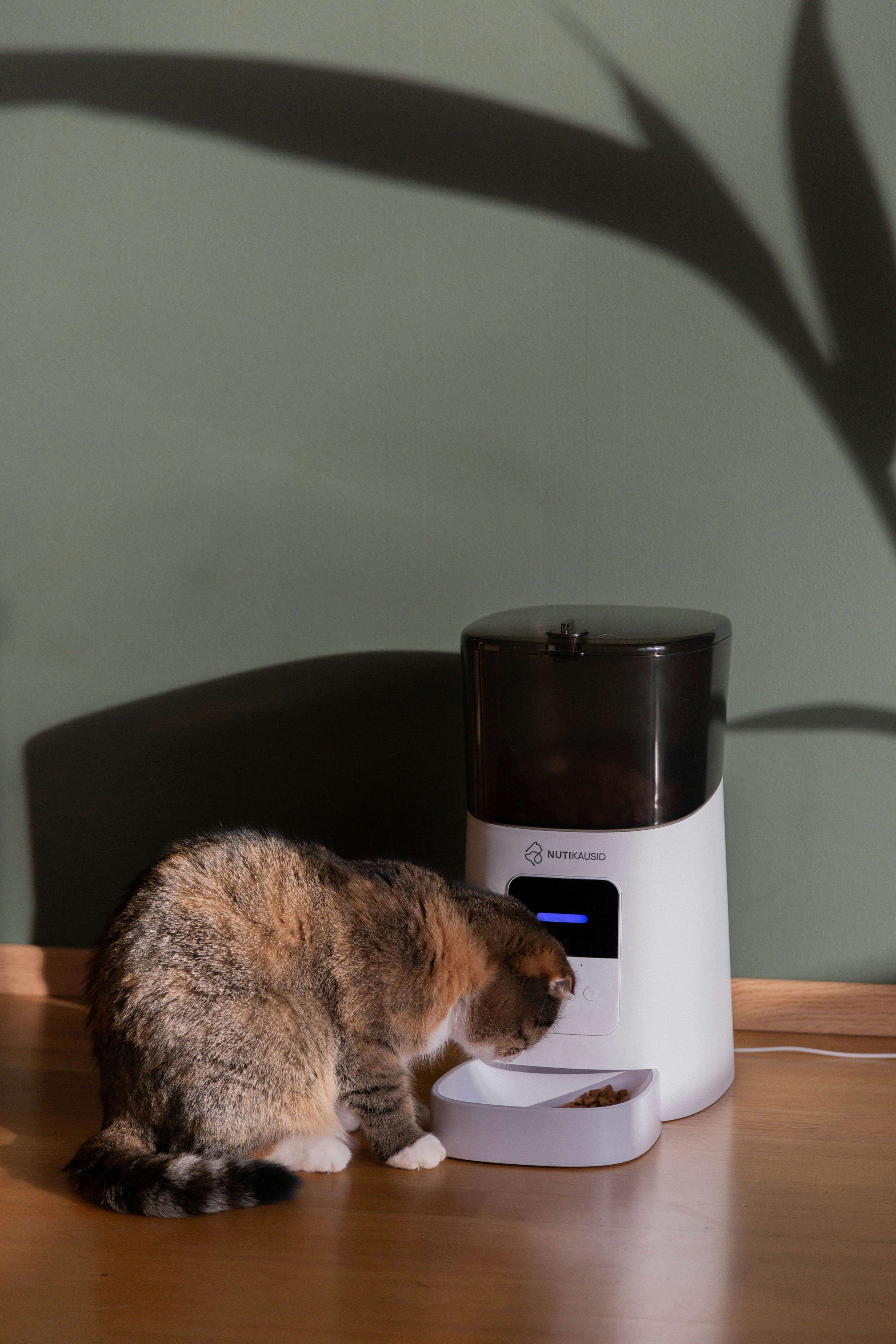 2026 펫푸드 시장 완전 분석｜점유율 TOP10과 앞으로 뜨는 브랜드