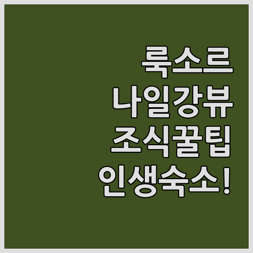 룩소르 나일강 전망 숙소 추천 조식 ..