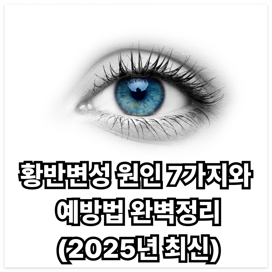 황반변성 -원인- 7가지와-예방법