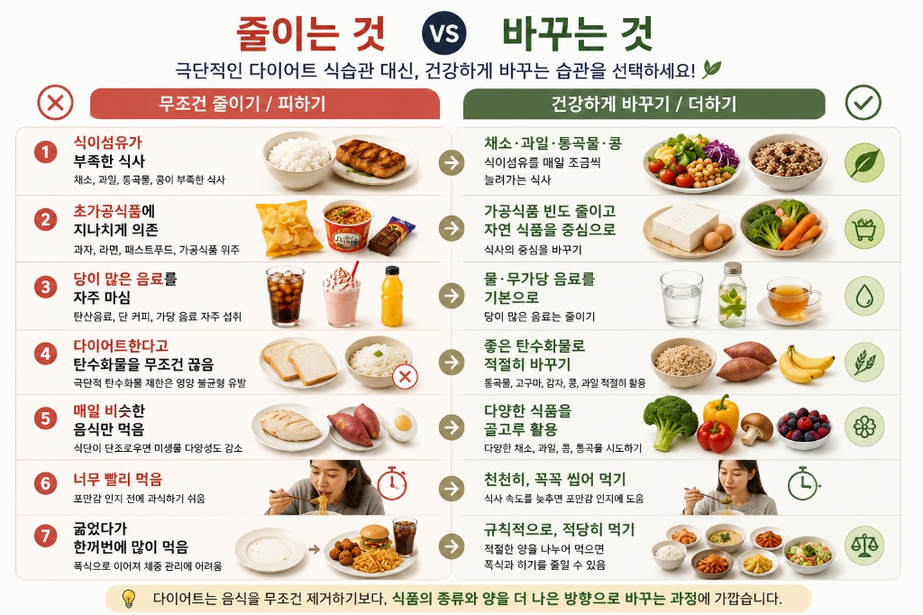 다이어트 식단 올바른 식습관 개선 비교 가이드
