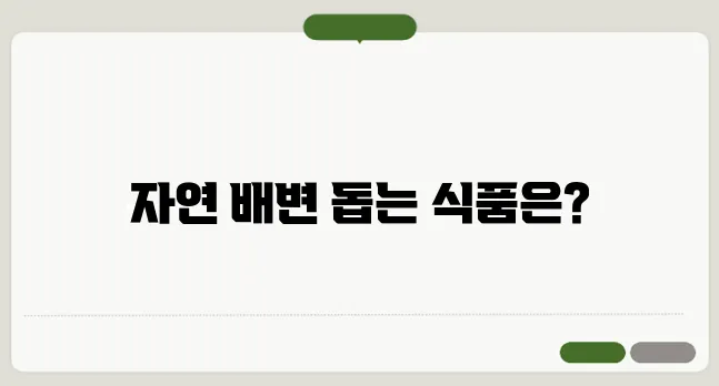 변비에 좋은 음식 자연스럽게 배변을 돕는 식품 추천