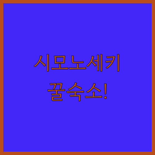 시모노세키 가와타나온센역 숙소 추천 ..