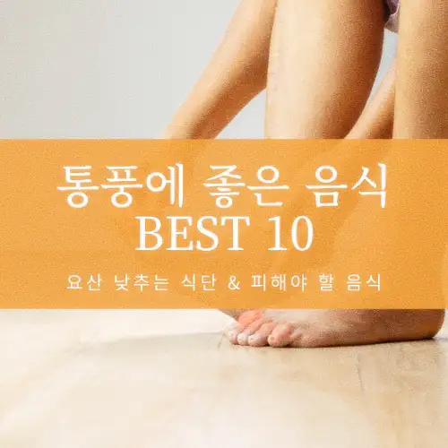 통풍에 좋은 음식 BEST 10
