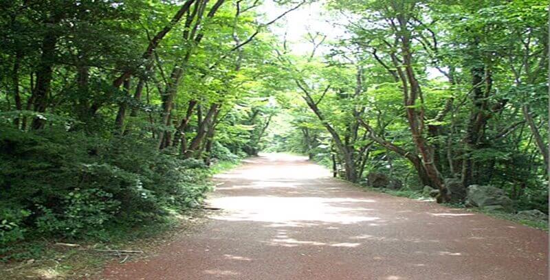 산속 꿈해몽 13가지 실몽 총정리 두번째