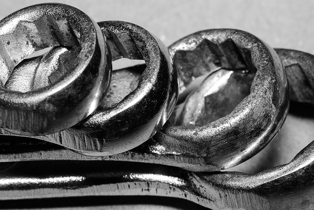 자동차 정기검사