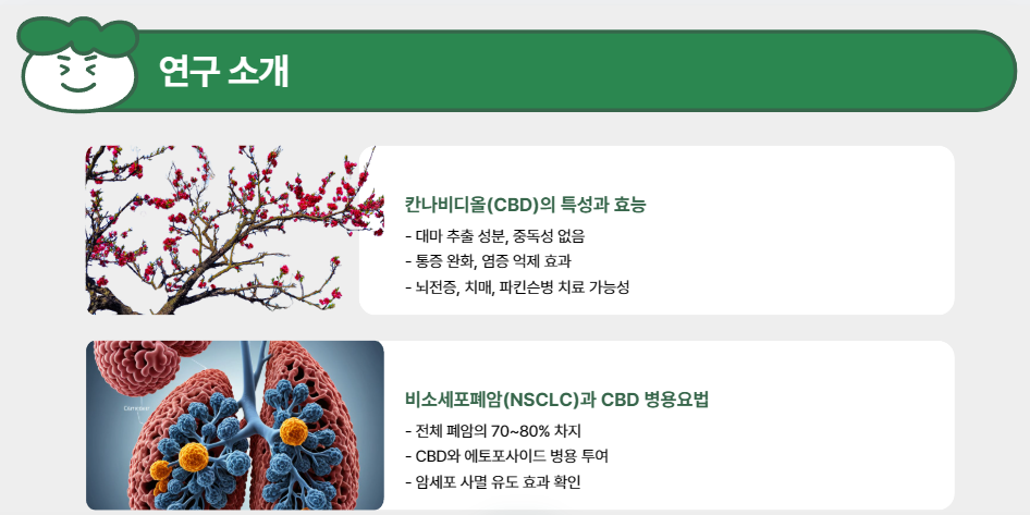 연구 소개