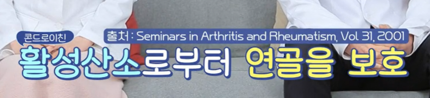 콘드로이친 효능