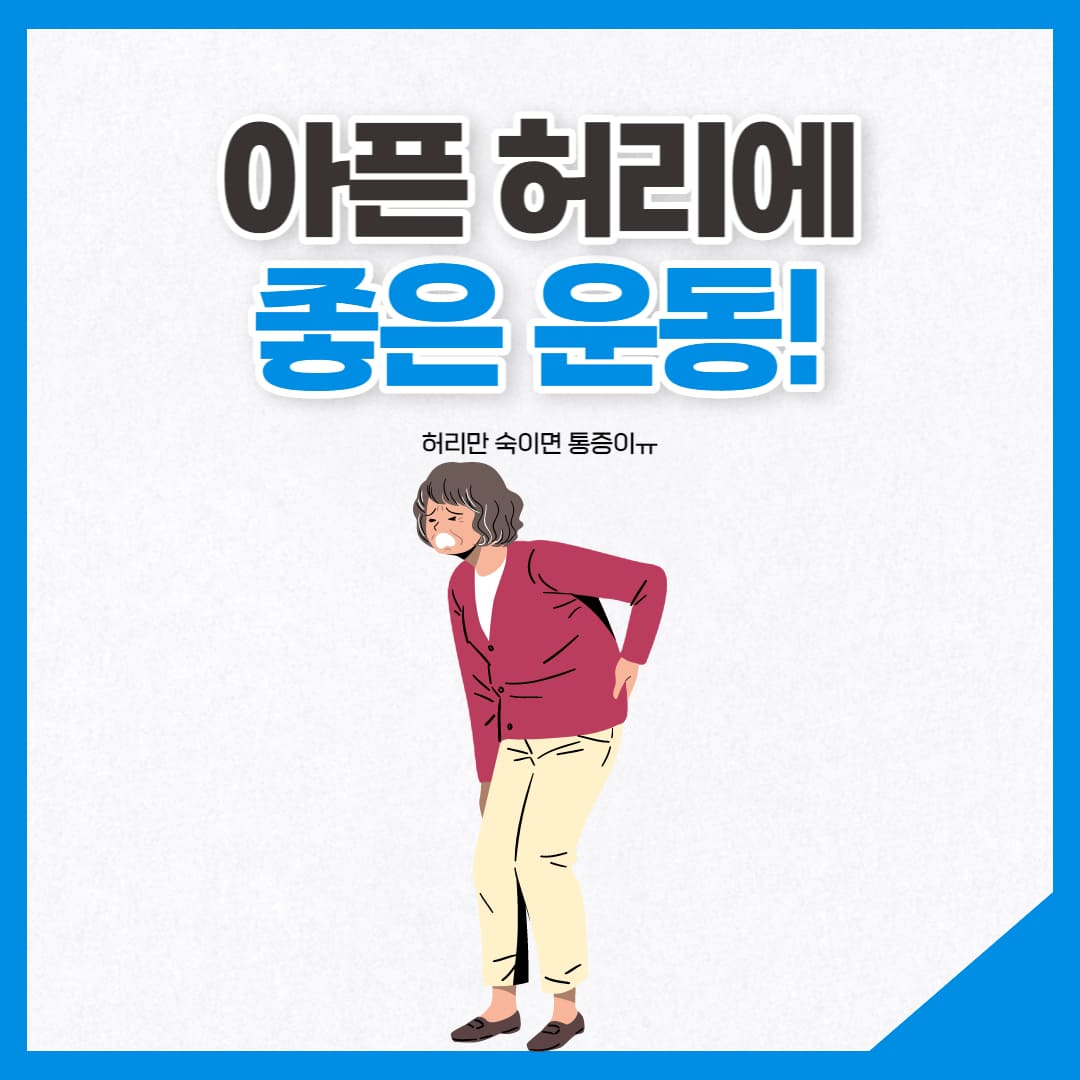 허리디크스에 좋은 운동 추천 이미지