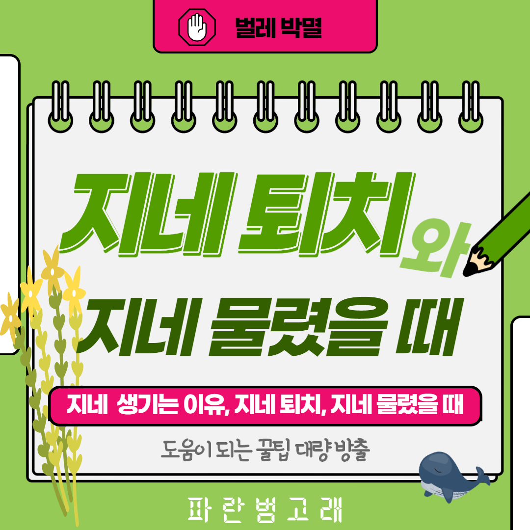 썸네일 사진