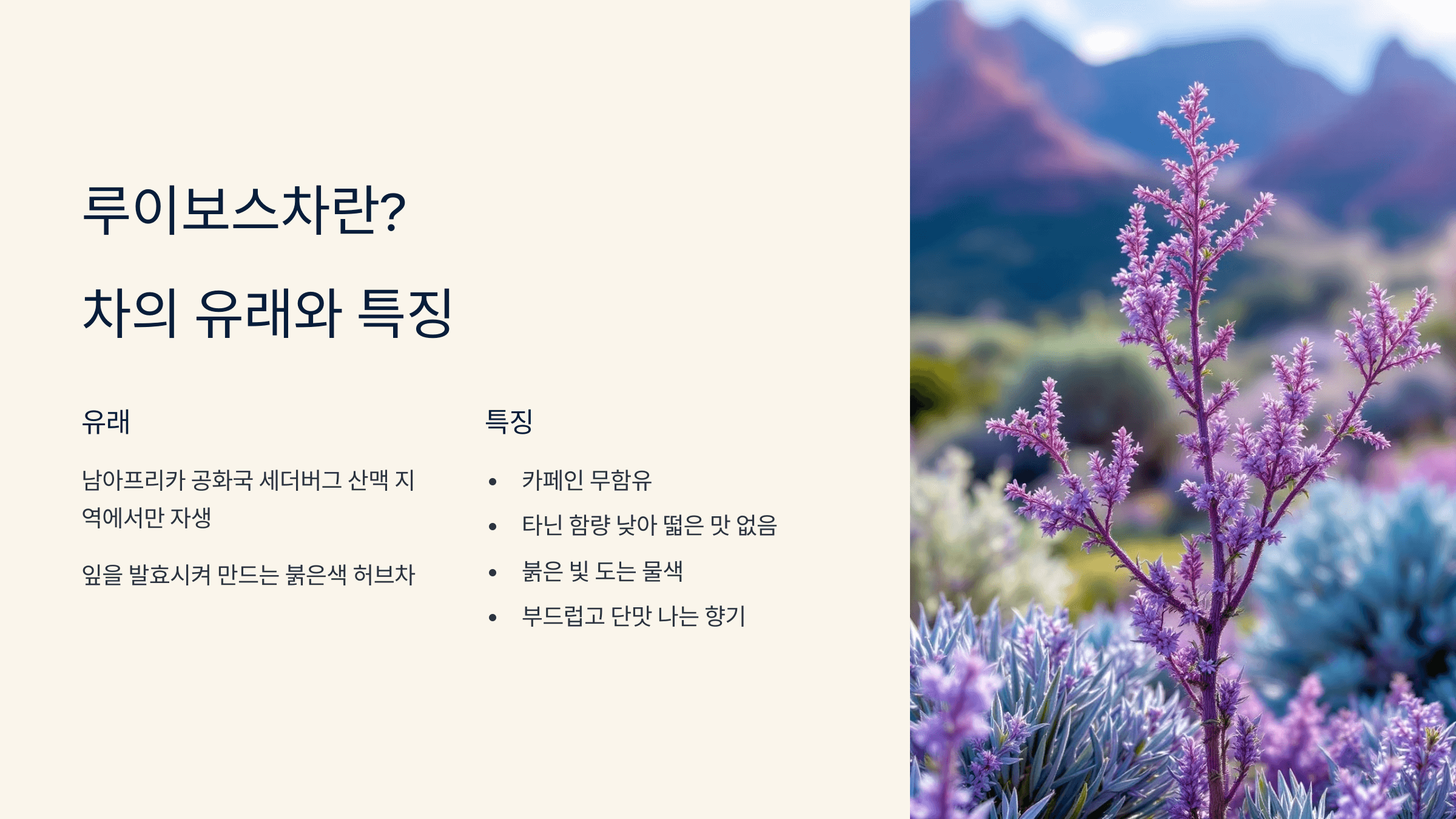 루이보스차 사진입니다.