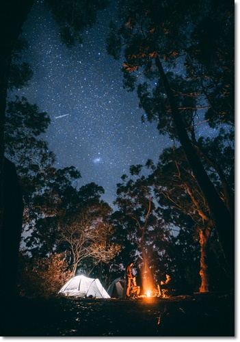 일산 킨텍스 고카프 캠핑 박람회 무료입장