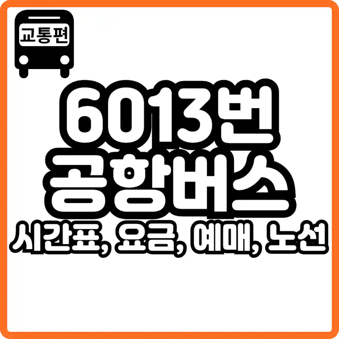 6013 공항버스