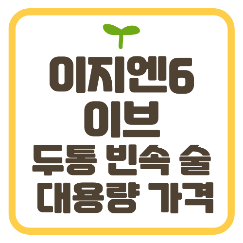 이지엔식스 이지엔6 이브 두통 빈속 대용량 가격 술