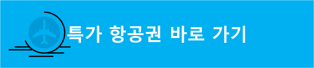 특가 항공권