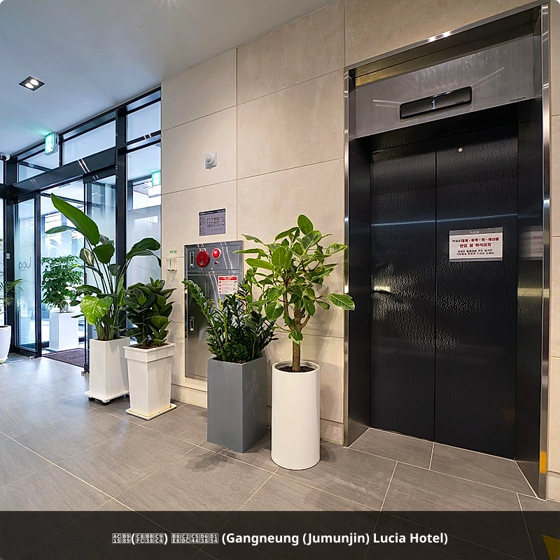 강릉(주문진) 루시아호텔 (Gangneung (Jumunjin) Lucia Hotel)_4