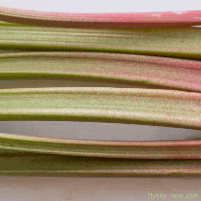 루바브 뿌리 먹는 법