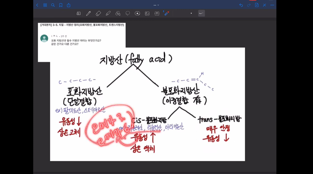 불포화지방 설명