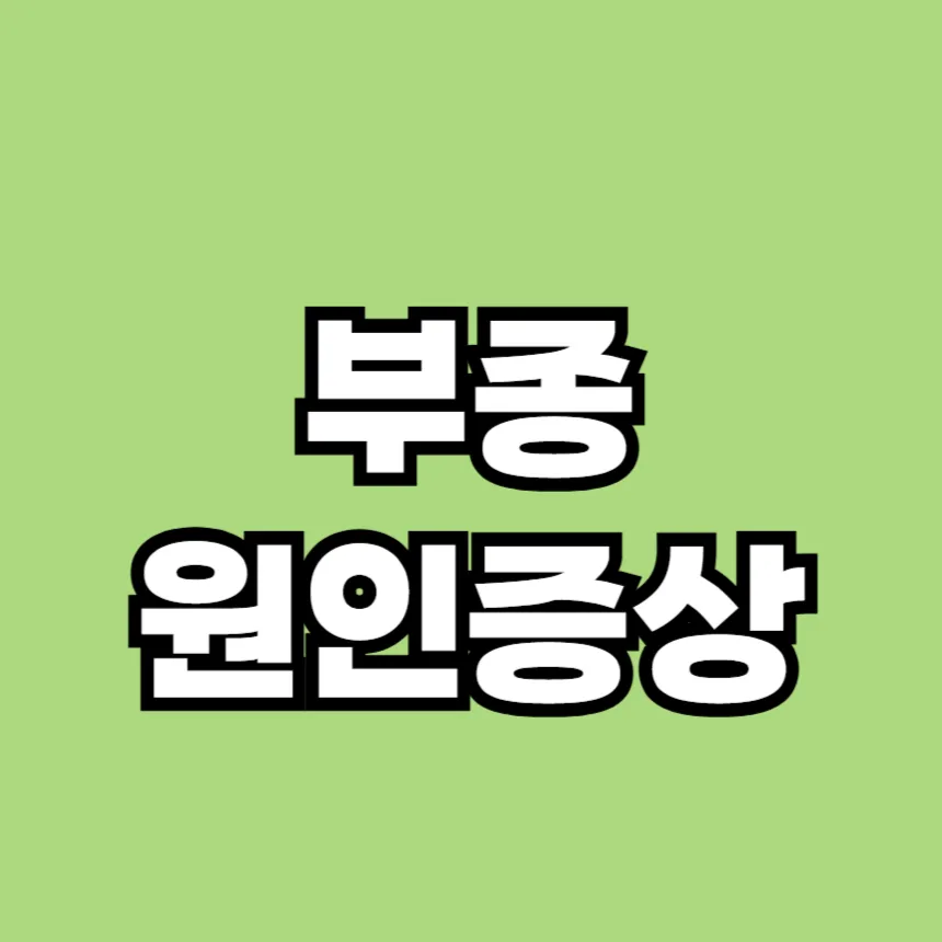 부종의 원인과 증상