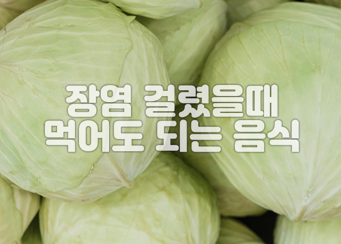양배추 이미지