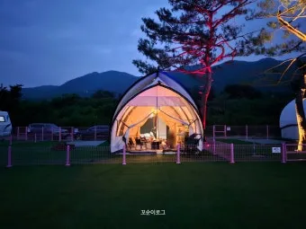 포천애견글램핑 포천 애견식당 당일치기 글램핑 해피캠핑 바베큐 바우어캠프 포천 완벽 체험_4