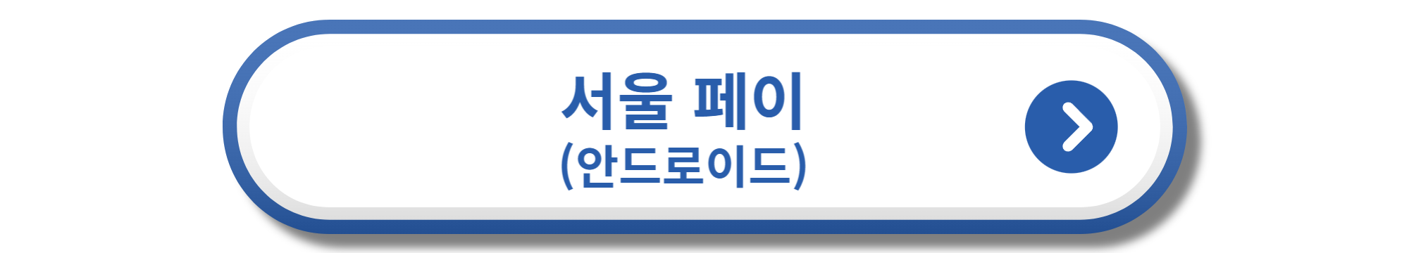 서울 페이 안드로이드