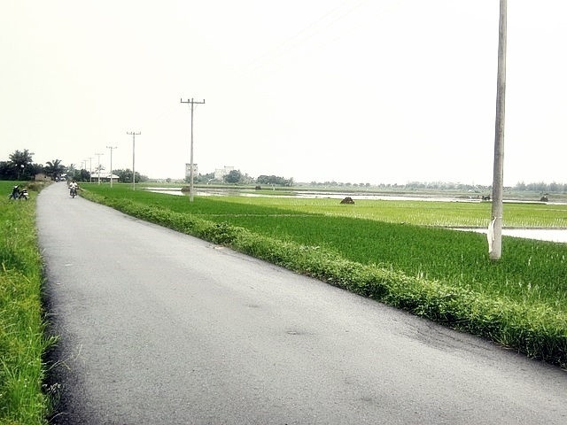 토지(임야)대장