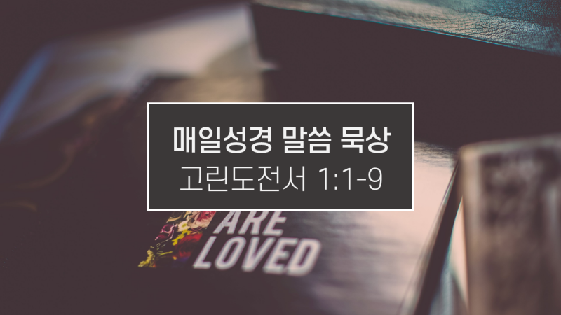 썸네일-성경책