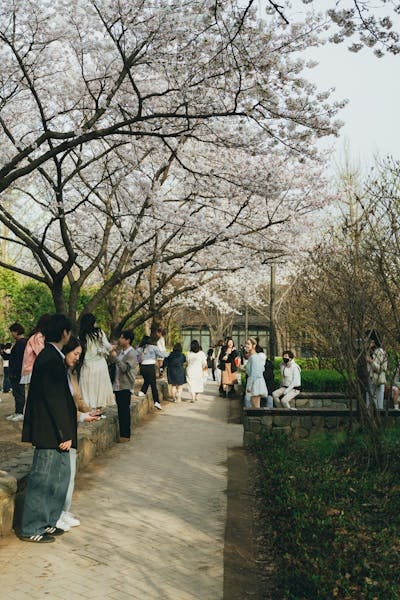 공기청정기 필터 교체비용 분석