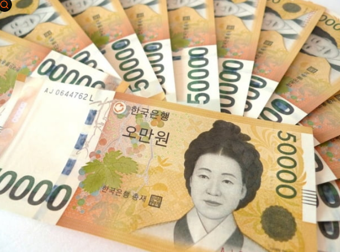 신사임당 5만원권 환수율