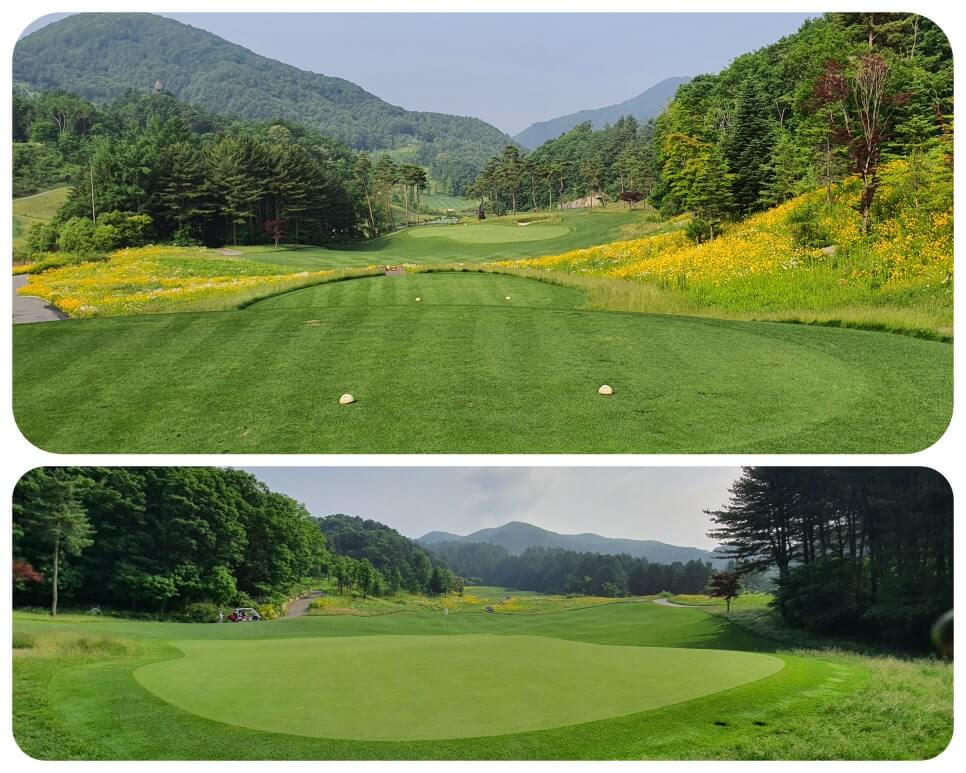 골프장 경험담 홍천 세이지우드cc 사람이 가장 쾌적함을 느끼는 해발 765m에서 경험하는 자연, 골프, 쉼