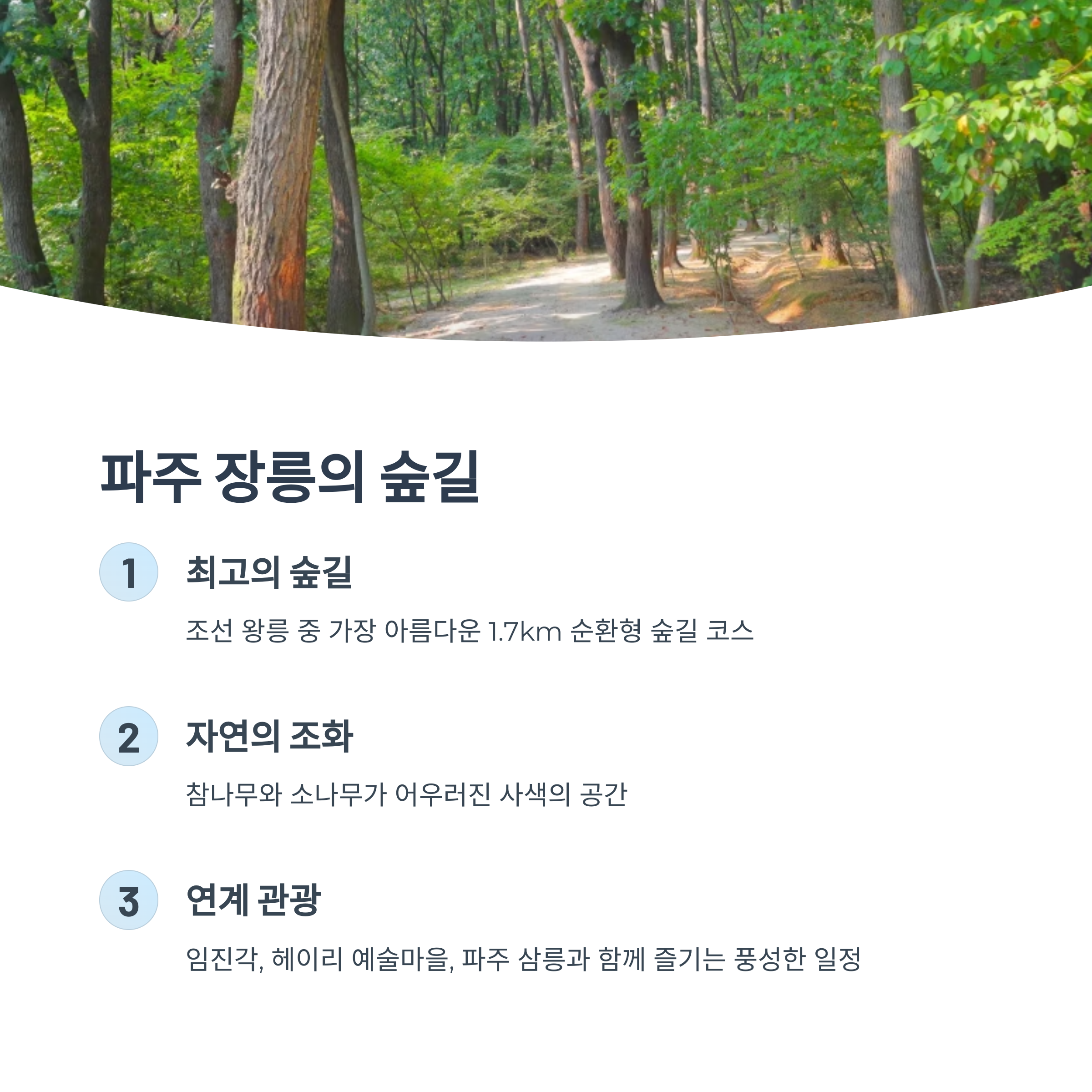 파주장릉의 숲길