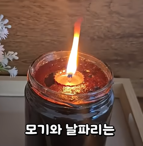 커피와식용유로 만든 모기 퇴치제