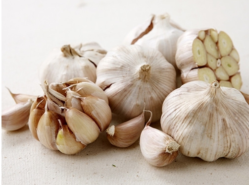 설사에 좋은 음식