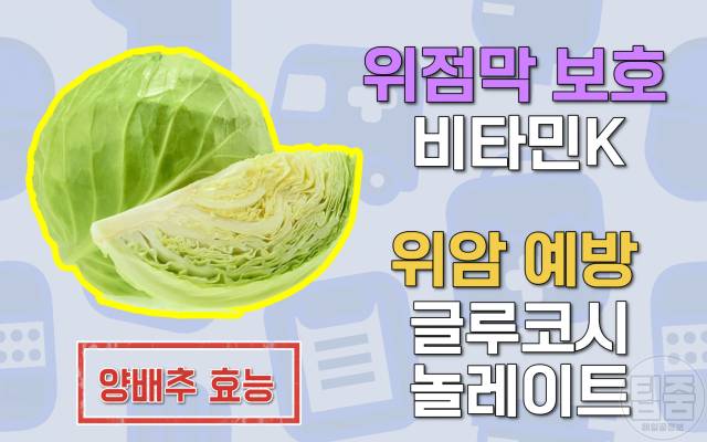 위에좋은음식 양배추 먹으면 안되는 사람 양배추먹는법 양배추 생으로 먹으면