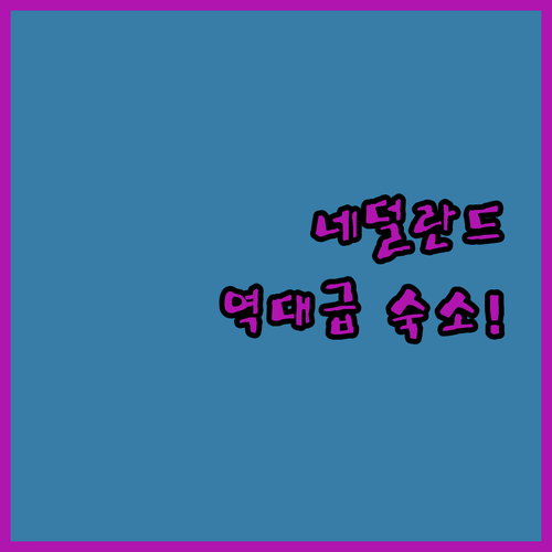 숲속 럭셔리 힐링부터 이색 보트 숙박..