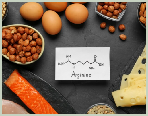 아르기닌 효능 및 많은 음식