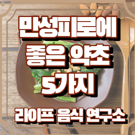 만성피로에 좋은 약초 5가지